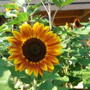 Meet your Posher, Kay